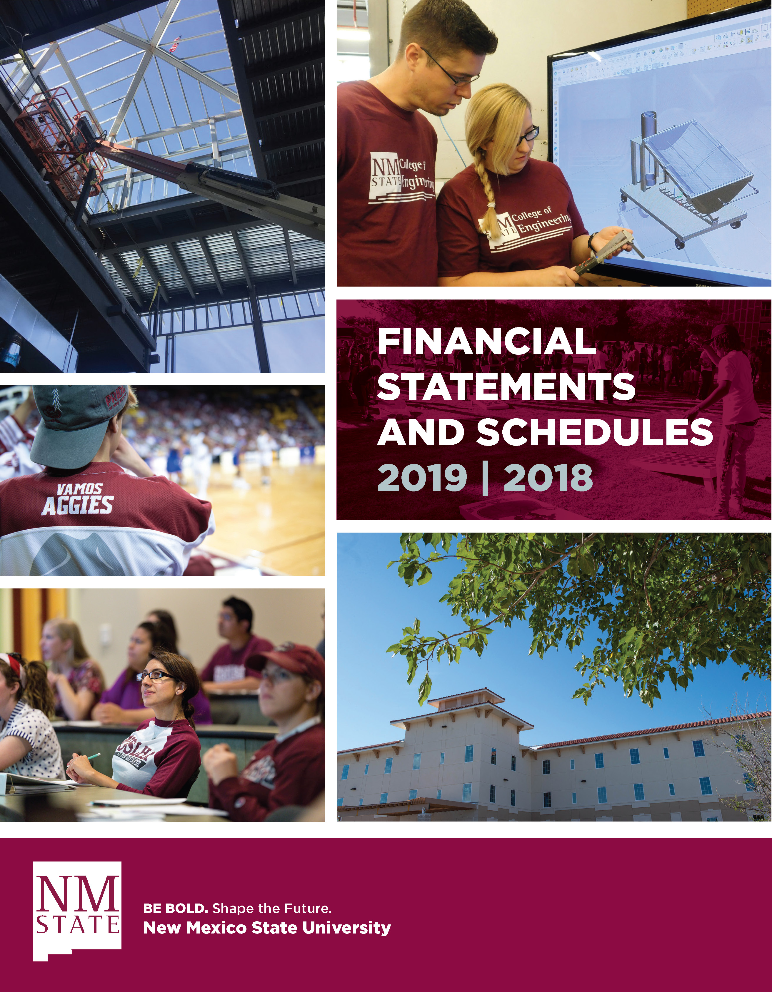 2018-2019 Financial Statements and Schedules